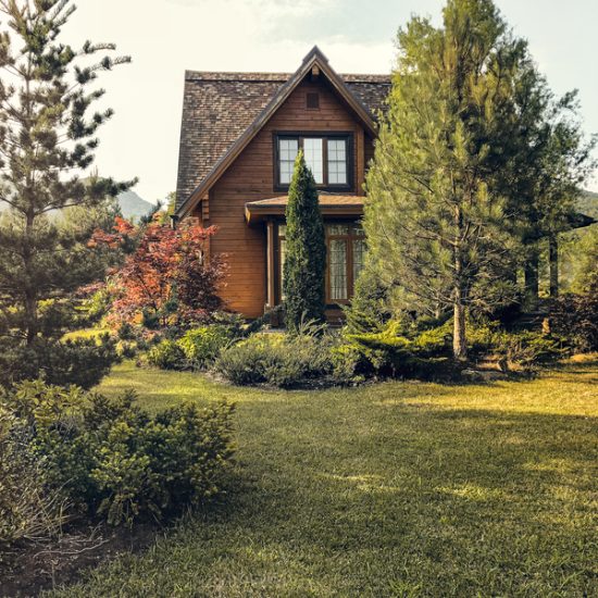 Cozy wooden country house located on green meadow and surrounded by trees on sunny day